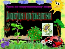 Презентация по окружающему миру для 2 класса на тему Дикорастущие и культурные растения