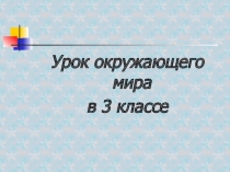 Презентация по окружающему миру на тему Экономика и экология