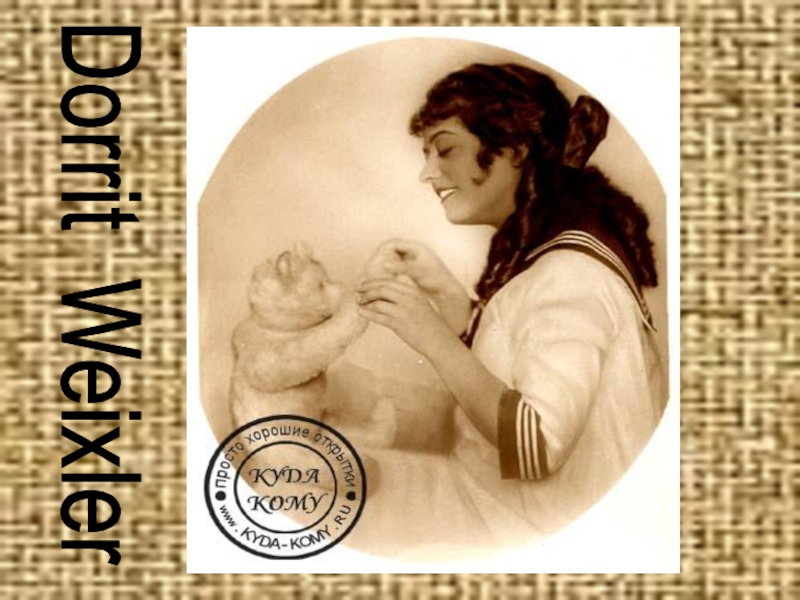 Презентация к проекту Мишки Тедди Dorrit Weixler Dorrit Weixler
