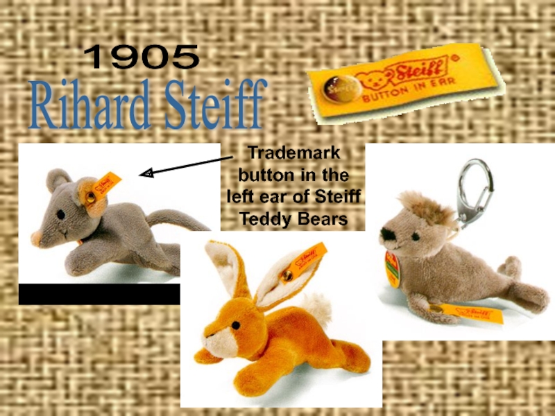 Презентация к проекту Мишки Тедди 1905 Rihard SteiffTrademark button in the left ear of Steiff Teddy Bears 1905 Rihard SteiffTrademark button in the left ear of Steiff Teddy Bears