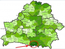 Прэзентацыя Карысныя ўласцівасці журавін