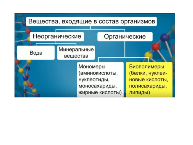 Презентация Макро- и мокроэлементы