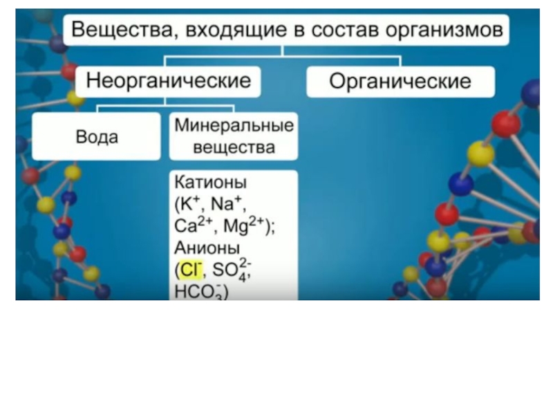 Презентация Макро- и мокроэлементы