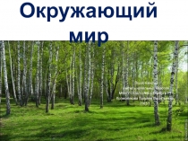 Презентация по окр.миру на тему Мой город Елабуга (1 класс)