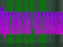 Воспитательный час по формированию здорового образа жизни:Организм человека