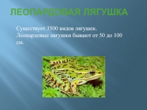 Электронный образовательный ресурс к уроку литературного чтения по теме: Лягушка-путешественница
