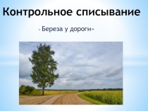 Презентация контрольное списывание  Береза у дороги