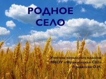 Презентация по окружающему миру Родное село