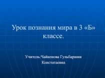 Презентация по познанию мира на тему Тела .Вещества.Явления