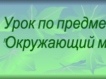 Презентация по окружающему миру Какие бывают растения? (2 класс)