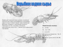 Презентация по товароведению продовольственных товаров Товароведная характеристика не рыбного водного сырья