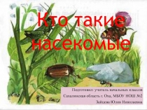 Презентация по окружающему миру на тему Кто такие насекомые? (1 класс)
