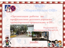 Презентация Организация работы по профилактике детского дорожно-транспортного травматизма в ОУ
