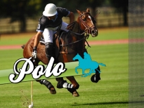 Polo as a popular kind of sport in Britain