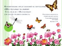 Презентация по развитию представлений об окружающем мире Знакомство с насекомыми