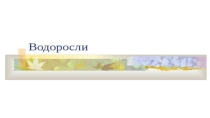 Водоросли