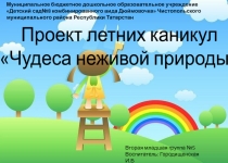 Презентация плана летних каникул на тему Чудеса неживой природы.(Средняя группа)