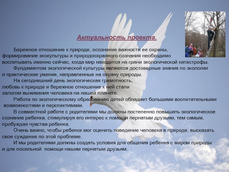Презентация Крылатые помощники.Расширять представления зимующих и перелетных птицах. Актуальность проекта. Бережное отношение к природе, осознание важности ее охраны, формирование Актуальность проекта. Бережное отношение к природе, осознание важности ее охраны, формирование экокультуры и природоохранного сознания необходимо воспитывать