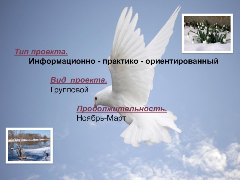 Презентация Крылатые помощники.Расширять представления зимующих и перелетных птицах.