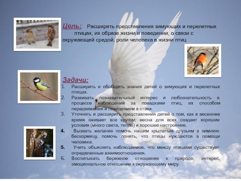 Презентация Крылатые помощники.Расширять представления зимующих и перелетных птицах. Цель: Расширять представления зимующих и перелетных птицах, Цель: Расширять представления зимующих и перелетных птицах, их образе