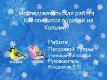 Презентация Как появился воробей на Колыме? Исследовательская работа ученицы 4 класса ПЕТРОВОЙ ТУЯРЫ, РУКОВОДИТЕЛЬ Кондакова Евдокия Семеновна