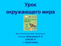 Презентация к уроку окружающего мира по теме Разнообразие животных