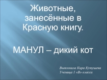 Манул-дикий кот2 класс