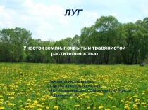 Презентация к уроку окружающий мир по теме Животные луга