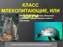 Презентация по биологии на тему Класс Млекопитаюшщие, или звери  (7 класс)