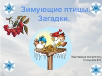 Презентация Зимующие птицы  Загадки.