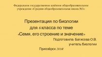 Презентация по биологии на тему Семя, его строение и значение (6 класс)
