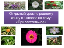 Презентация по родному языку на тему Прилагательное 6 класс