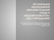 Презентация : Организация инклюзивной образовательной среды в общеобразовательных учреждениях