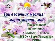 Проект Три весенних месяца