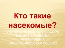 Презентация по окружающему миру Насекомые