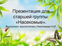 Презентация для старшей группы: Насекомые.