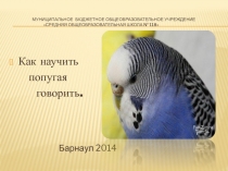 Презентация по окружающему миру