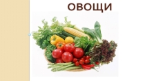 Презентация по русскому языку. Словарные слова. Тема: Овощи.