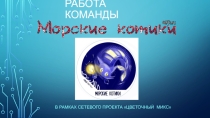Исследовательская работа Самые -самые из мира цветов в рамках сетевого проекта Цветочный микс