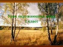 Презентация по окружающему миру Народный календарь.