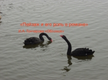Пейзаж и его роль в романе И.Гончарова Обломов