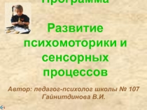Программа по развитию психомоторики и сенсорных процессов