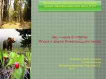Презентация Лес- наше богатство. Флора и фауна леса
