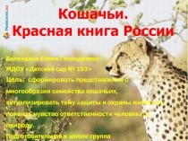 Презентация Кошачьи. Красная книга России