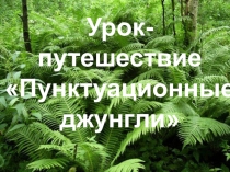 Презентация уроку по русскому языку на тему Простые и сложные предложения (5 класс)
