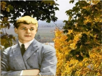 Презентация Край березовый, край Есенина