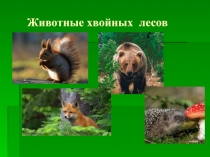 Презентация к экологическому проекту Лесная красавица-2017