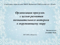 Презентация Организация прогулок с целью развития познавательного интереса к окружающему миру