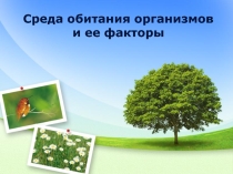 Среда обитания организмов и ее факторы