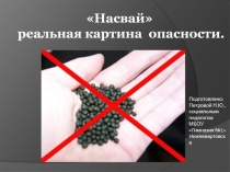 Презентация к классному часу Насвай - реальная картина опасности